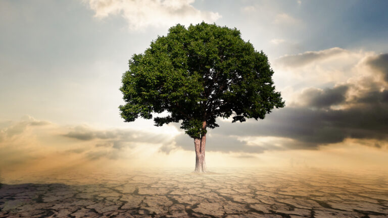 Private Credit Isn’t Cracking—But Investors Should Watch Closely